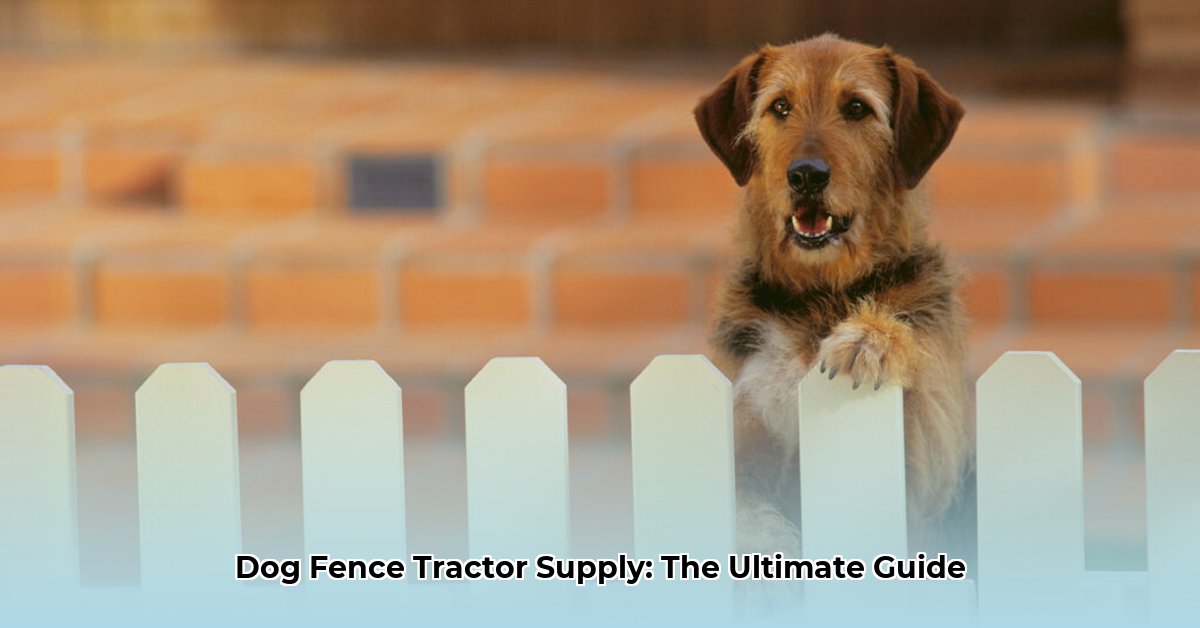 dog-fence-tractor-supply